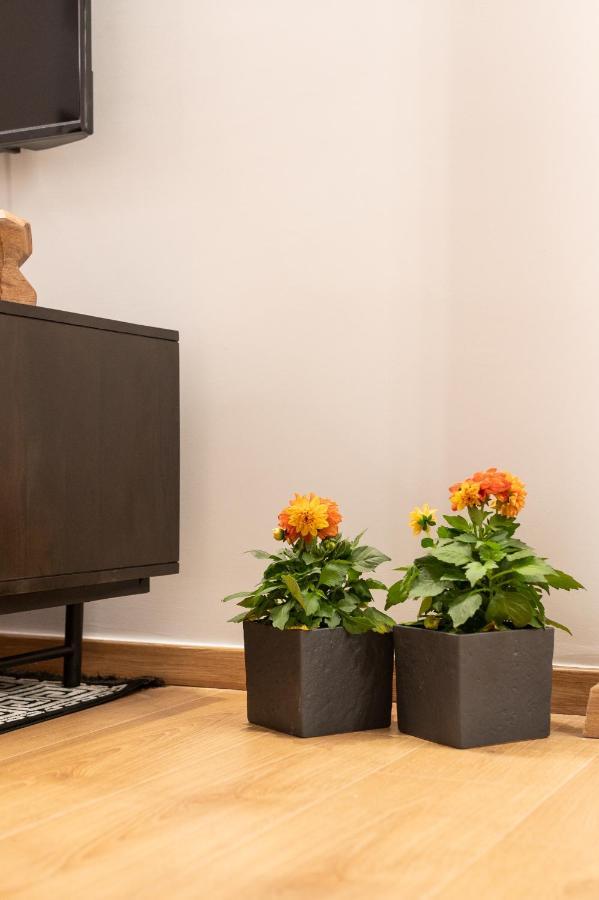 Acropolis Exclusive Apartment 雅典 外观 照片